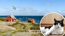 Landschaft von Schweden am Meer und Katze als Collage reingeschnitten