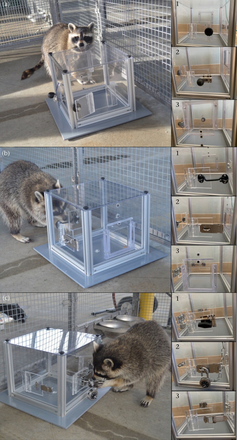 Figure 1. Multiaccess puzzle box with Easy, Medium and Hard solutions. (a) Easy solutions: (1) door; (2) slide latch; (3) pull-down window. (b) Medium solutions: (1) hook-and-eye; (2) hasp; (3) push-up window. (c) Hard solutions: (1) turn knob; (2) unlocked lock in hasp; (3) draw-catch latch.