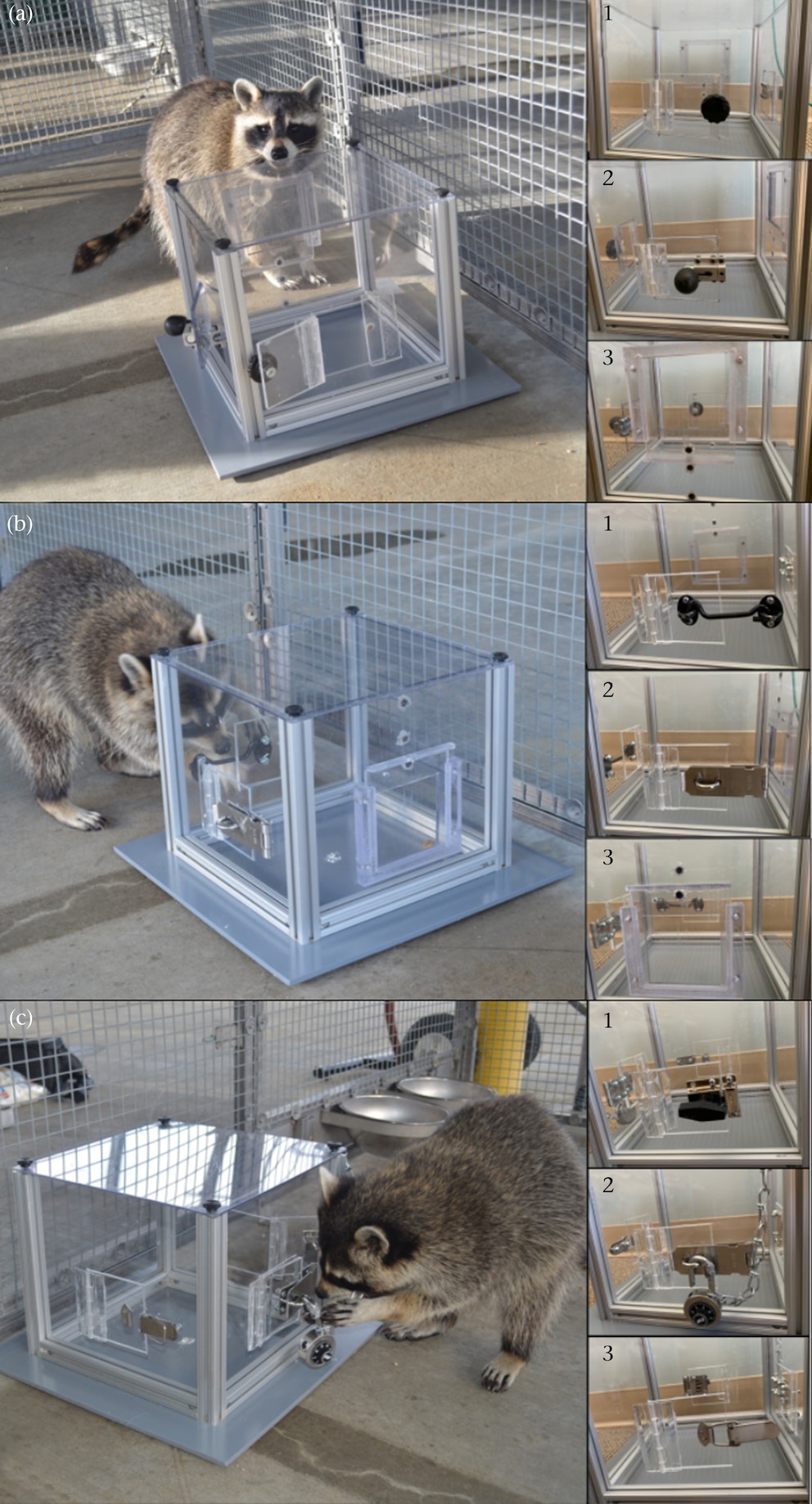 Figure 1. Multiaccess puzzle box with Easy, Medium and Hard solutions. (a) Easy solutions: (1) door; (2) slide latch; (3) pull-down window. (b) Medium solutions: (1) hook-and-eye; (2) hasp; (3) push-up window. (c) Hard solutions: (1) turn knob; (2) unlocked lock in hasp; (3) draw-catch latch.