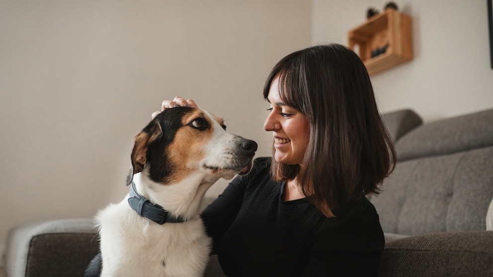 Hund schaut Frau an