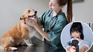 „Ich will nicht, dass er leidet“ – dieser Satz gehört wahrscheinlich zu den häufigsten, die Tierärzte in ihrer Praxis hören. Im Interview mit PETBOOK verrät Tierärztin Dogtor Debbie, warum dieser Satz oft zu einem Dilemma führt