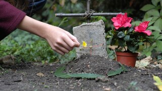Mensch stellt kleines Grab für verstorbenes Tier auf
