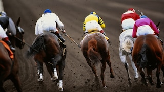 Pferderennen: zu sehen sechs Pferde