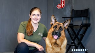 Farina Klause trainierte Schäferhund Capo für seine Rolle als „Kommissar Rex“