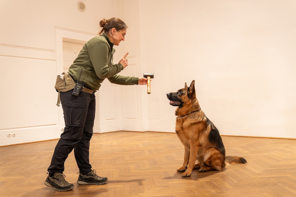 Farina Klause beim Training mit Capo: &bdquo;Das Wichtigste ist die Beziehung