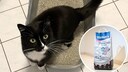 Collage aus Katze Sweety im Katzenklo und der Katzenstreu