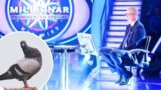 „Ratten der Lüfte“? Aussagen von Günther Jauch in der Sendung vom 13. April 2026 über Tauben sorgen für Debatten