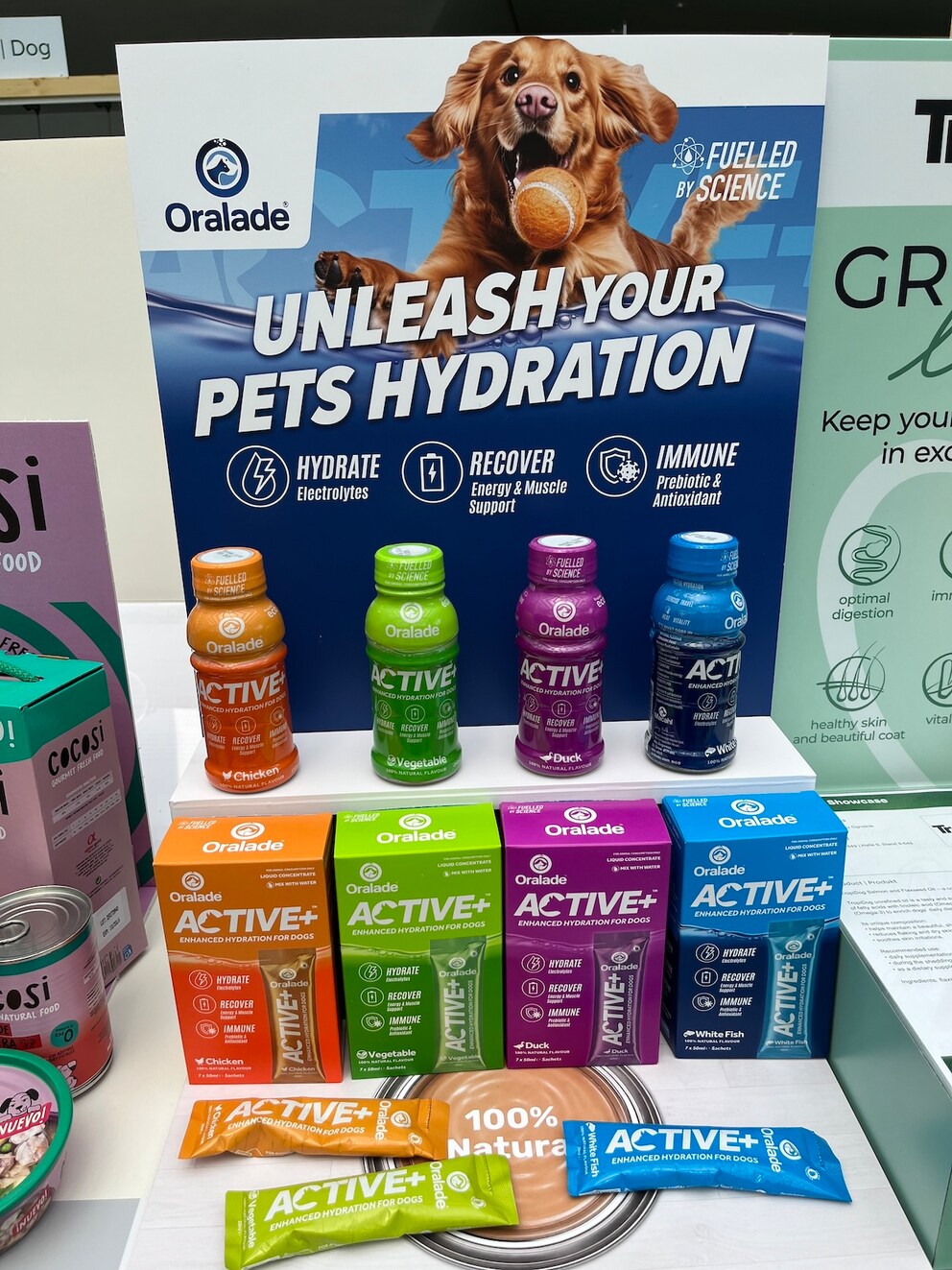 Electrolyte drinks for dogs: Many nutrition trends from the fitness and health world for humans are now reaching pets