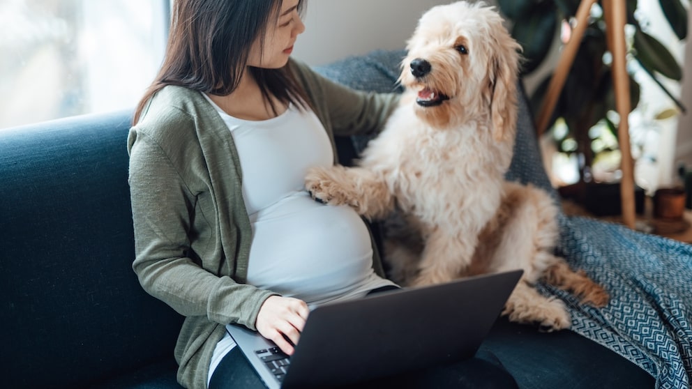 Schwangere Frau mit Hund auf dem Sofa