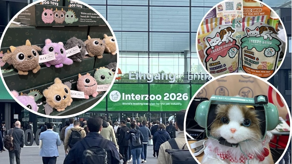 Collage für Interzoo 2026