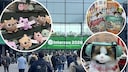 Collage f&uuml;r Interzoo 2026