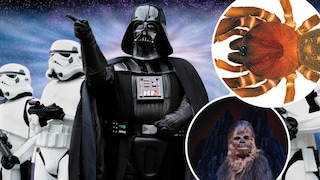 Zusammenschnitt: Hintergrund Darth Vader mit Sturmtrupplern, Chewbacca und STurmtruppler Spinne reingeschnitten