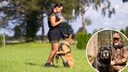 Eine Frau trainiert mit ihrem Hund auf einer Wiese.
