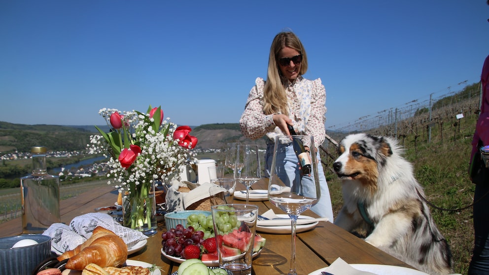 Ein Australian Shepherd sitzt an einem gedekcten Tisch im Freien