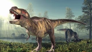 Darstellung vom Dinosaurier Tyrannosaurus rex
