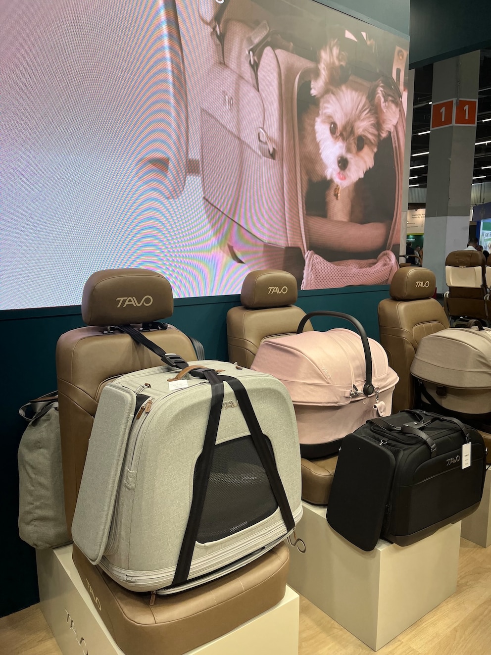 Crashgetestete Transportboxen f&uuml;rs Auto sollen Hunde k&uuml;nftig &auml;hnlich sicher sch&uuml;tzen wie moderne Kindersitze