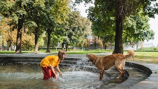 Ein Hund und ein Mädchen spielen in einem Brunnen