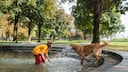 Ein Hund und ein M&auml;dchen spielen in einem Brunnen