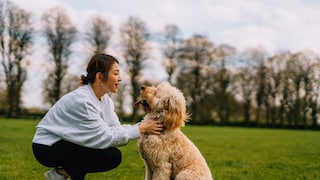 Frau mit Hund auf Wiese sitzend bzw kniend