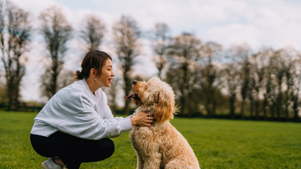 Frau mit Hund auf Wiese sitzend bzw kniend