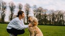 Frau mit Hund auf Wiese sitzend bzw kniend