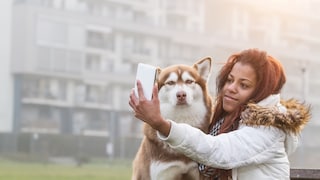 Videos, die auf Ragebaiting setzen, sorgen für Millionen Klicks. Hundetrainerin Katharina Marioth erklärt, warum das bewusste Provozieren und Verwirren von Hunden problematisch sein kann