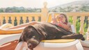 M&uuml;ssen Halter eigentlich ihre Hunde eincremen, um sie vor der Sonne zu sch&uuml;tzen?
