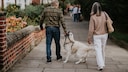 Ein Hund bei&szlig;t beim Spazieren in die Leine