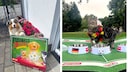 PETBOOK WM Orakel 2026