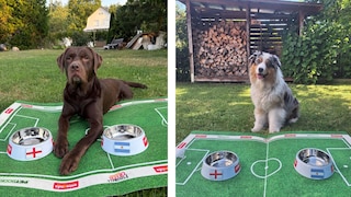 Hector und Elvis tippen das 2. WM-Halbfinale