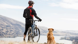 Hund und Mensch mit Fahrrad stehen am Berg und gucken in die Weite