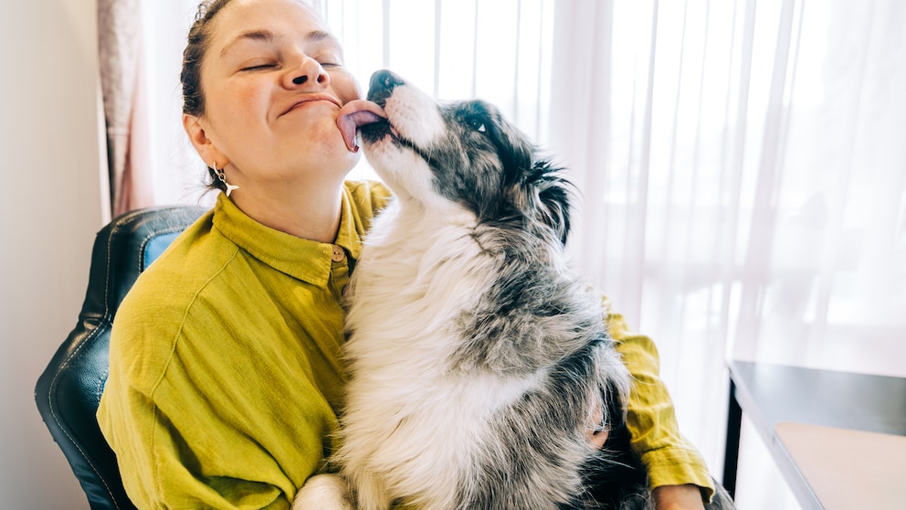 Hund schleckt Frau ab