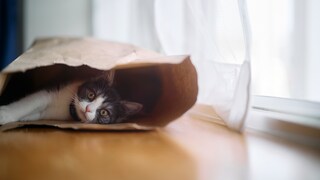Haben Sie schon mal etwas gekauft, ohne sich vorher genauer darüber zu informieren?