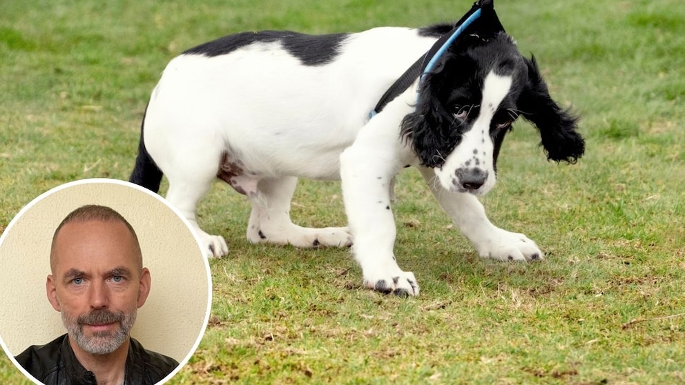 Für Hundepsychologe Marc Ebersbach beginnt Gewalt gegen Hunde oft früher, als viele Halter vermuten