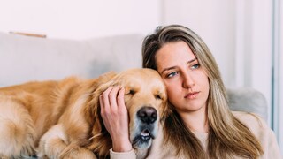 Ein Hund kann bei Menschen mit Depressionen durchaus eine Stütze sein. Man sollte jedoch immer abwägen, ob man der Verantwortung, die ein Hund mit sich bringt, gerecht werden kann