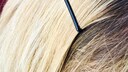Haarklammer im Haar