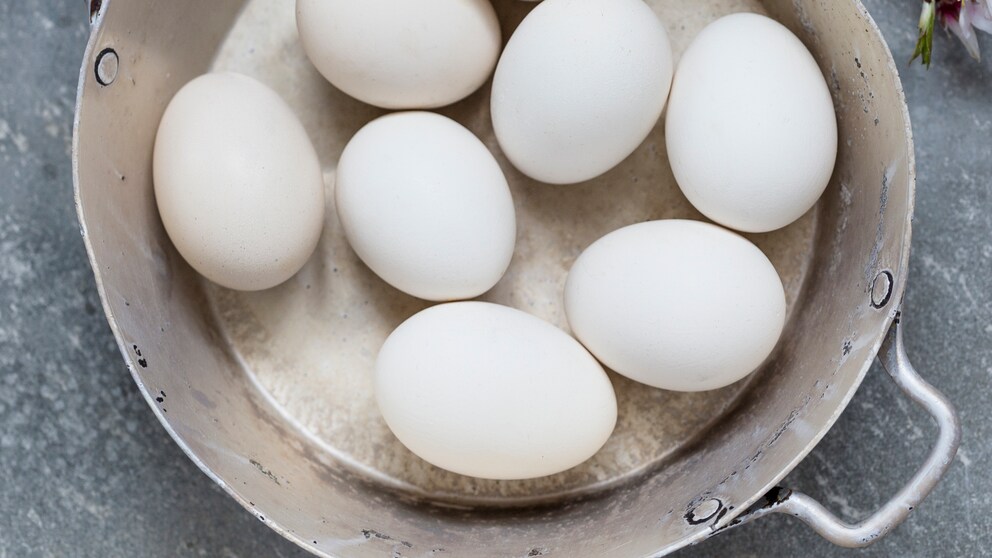 Weiße Eier im Topf
