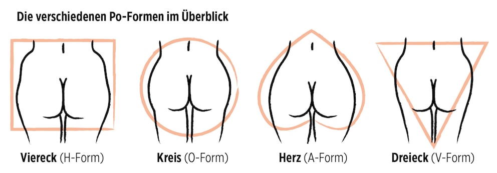 Illustration verschiedener Po-Formen