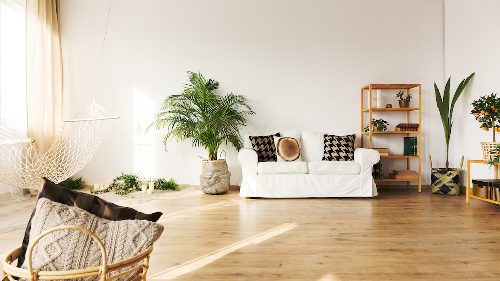 Wohnung mit weißer Couch und Pflanzen