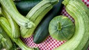 Frische Zucchinis