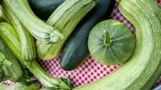 Frische Zucchinis