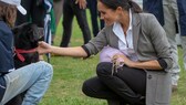 Herzogin Meghan beim Besuch in Dubbo, Australien