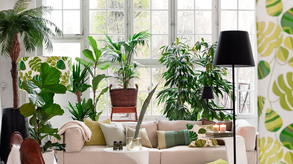 Wohnzimmer mit vielen Pflanzen