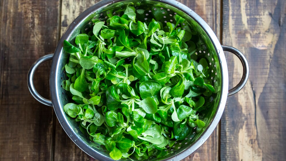 Feldsalat