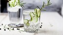 Gin Tonic soll gesund sein