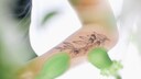Frau mit Pflanzen-Tattoo