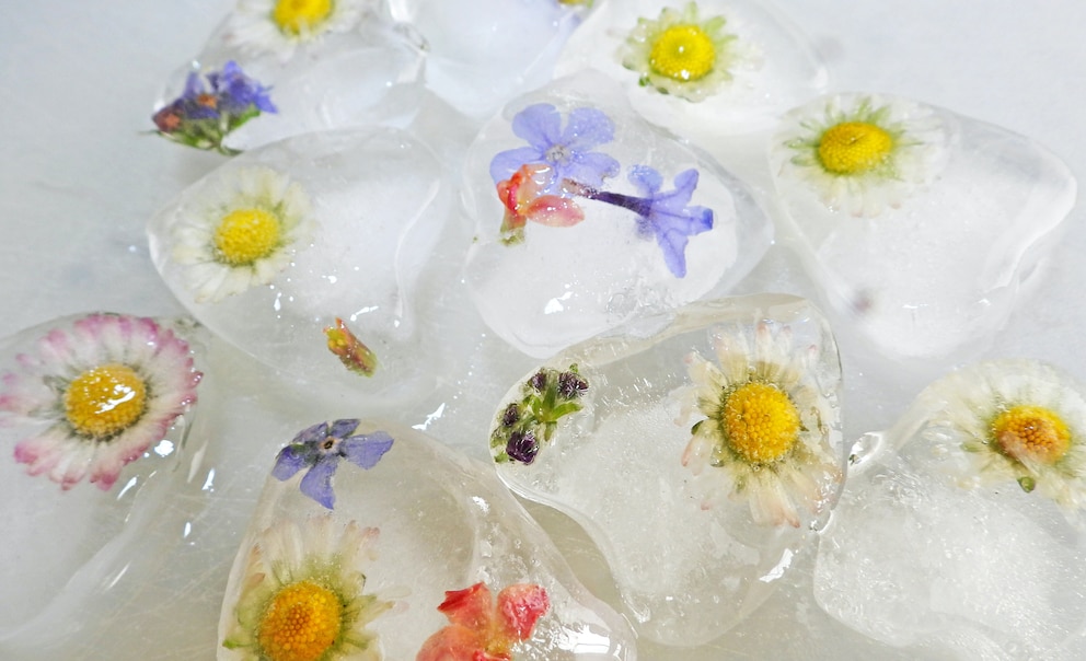 Eiswürfel mit Blumen