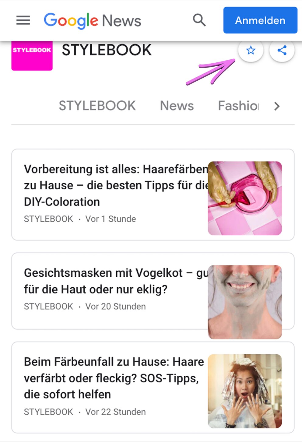 Google News STYLEBOOK.de