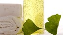 Ginkgo-Pflanze mit Flüssigkeit