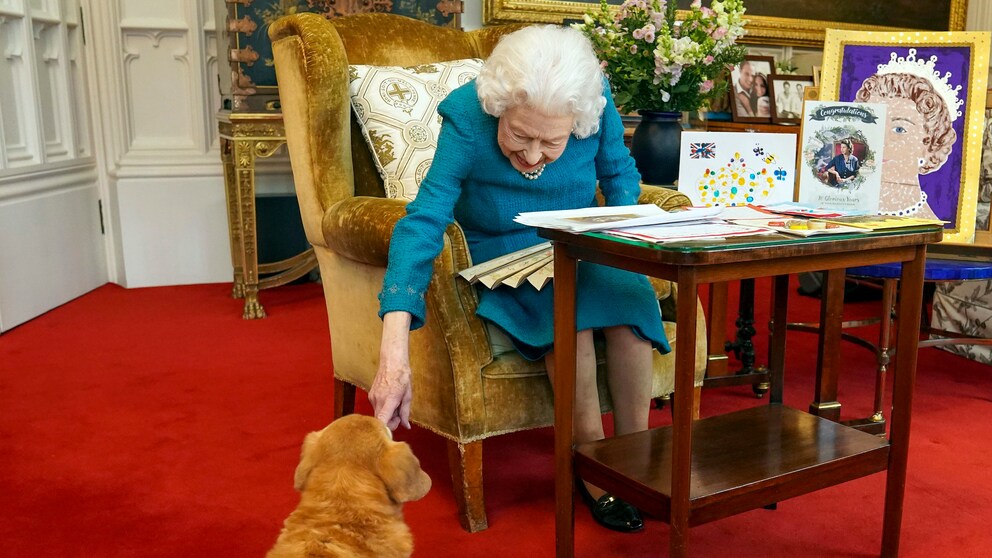 Queen mit Hund